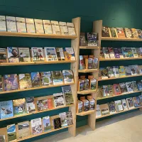 minicamping-de-nesse-castricum-bycr7