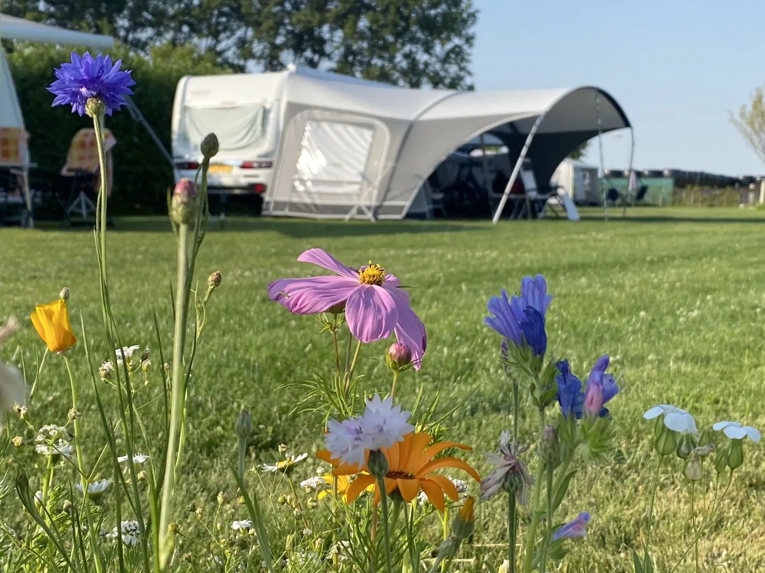 minicamping-de-nesse-castricum-tho8h