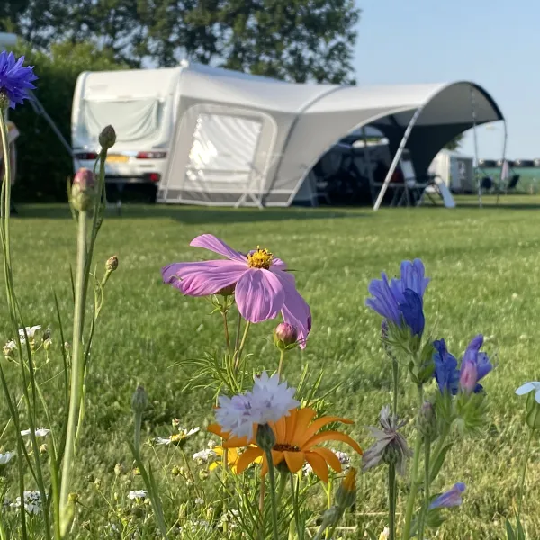 minicamping-de-nesse-castricum-tho8h