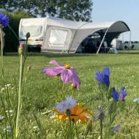 minicamping-de-nesse-castricum-tho8h