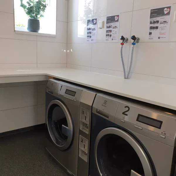 minicamping-de-nesse-castricum-vcasz