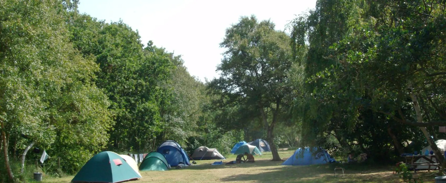 Camping Seedune