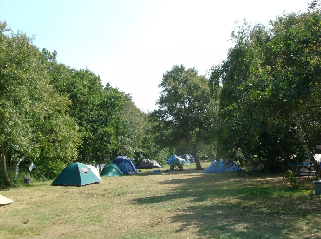 camping-seedune-schiermonnikoog-gi9rz