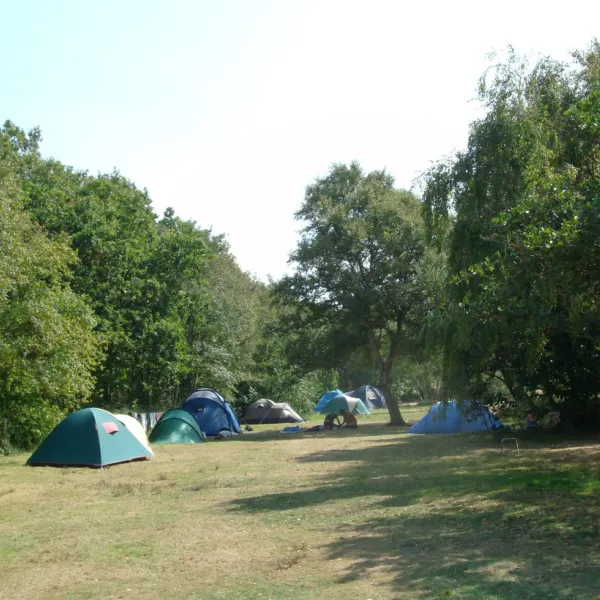 camping-seedune-schiermonnikoog-gi9rz