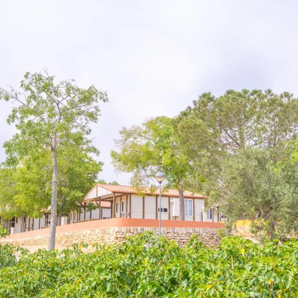 camping-ametlla-tarragona-fy3i6