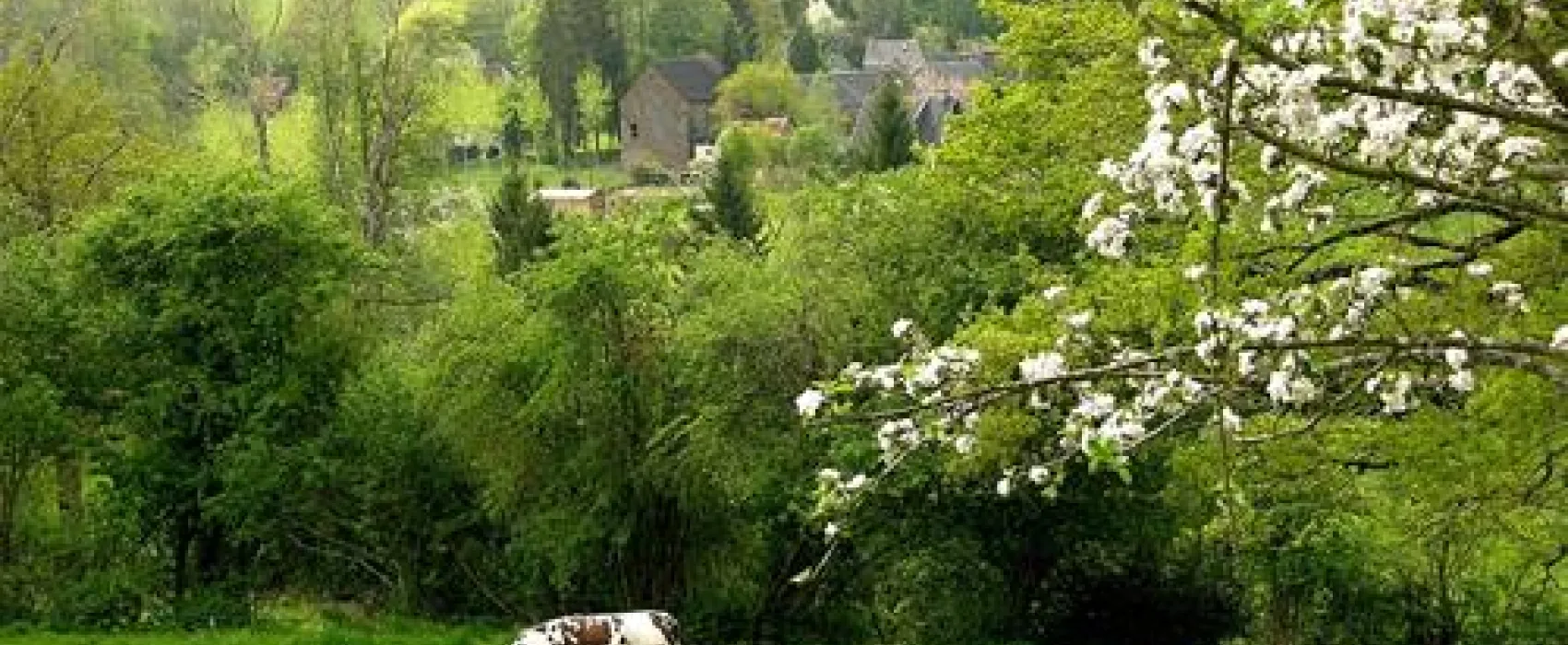 Camping de la Rouvre