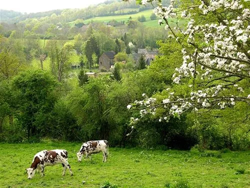 camping-de-la-rouvre-menil-hubert-sur-orne-k75zj