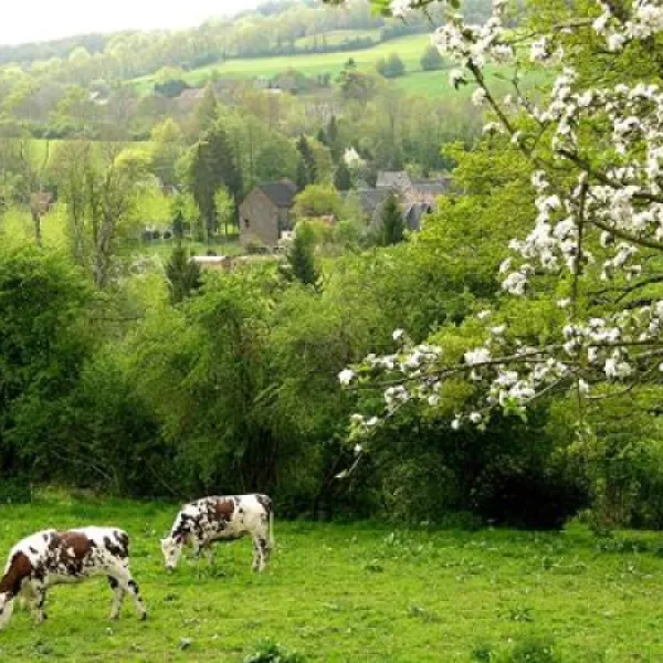 camping-de-la-rouvre-menil-hubert-sur-orne-k75zj