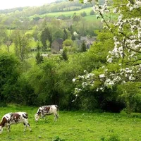 camping-de-la-rouvre-menil-hubert-sur-orne-k75zj