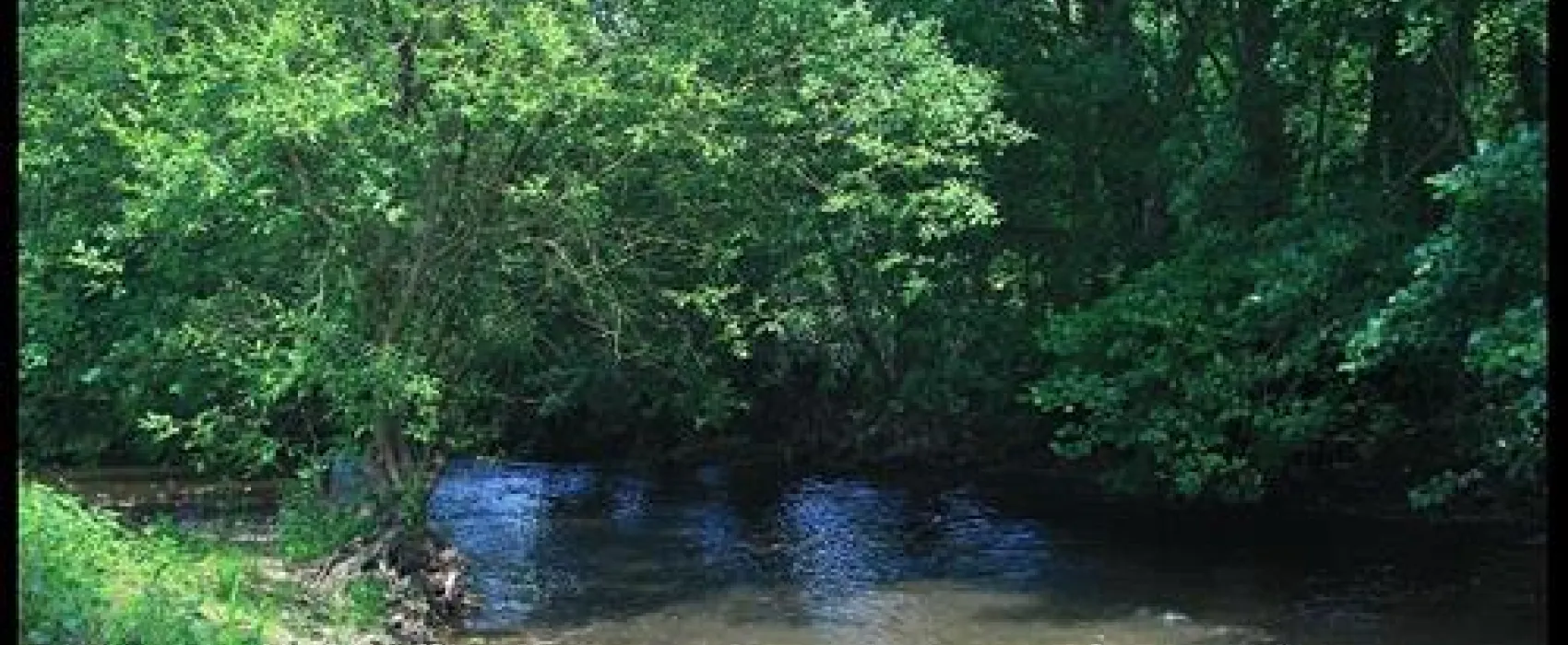 Camping de la Rouvre