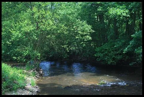 camping-de-la-rouvre-menil-hubert-sur-orne-qeza3