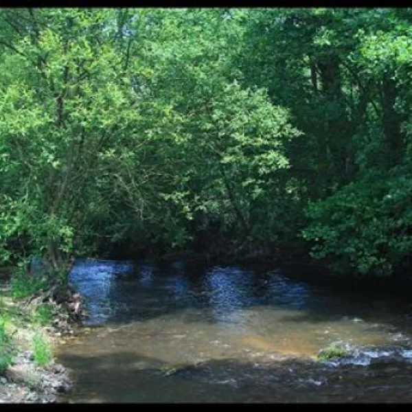 camping-de-la-rouvre-menil-hubert-sur-orne-qeza3