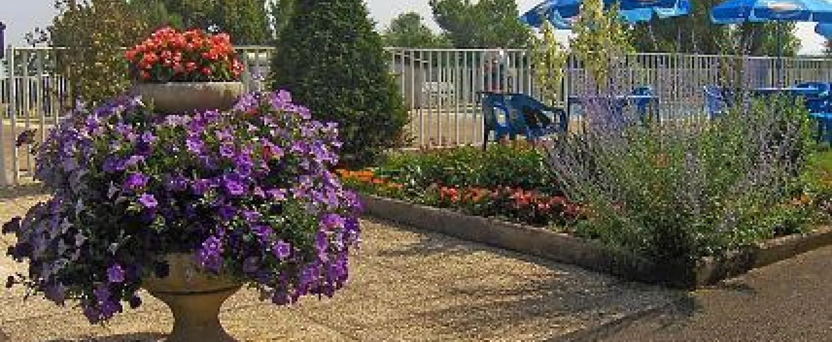 Camping La Route Bleue