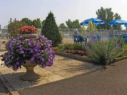camping-la-route-bleue-loire-zpakc