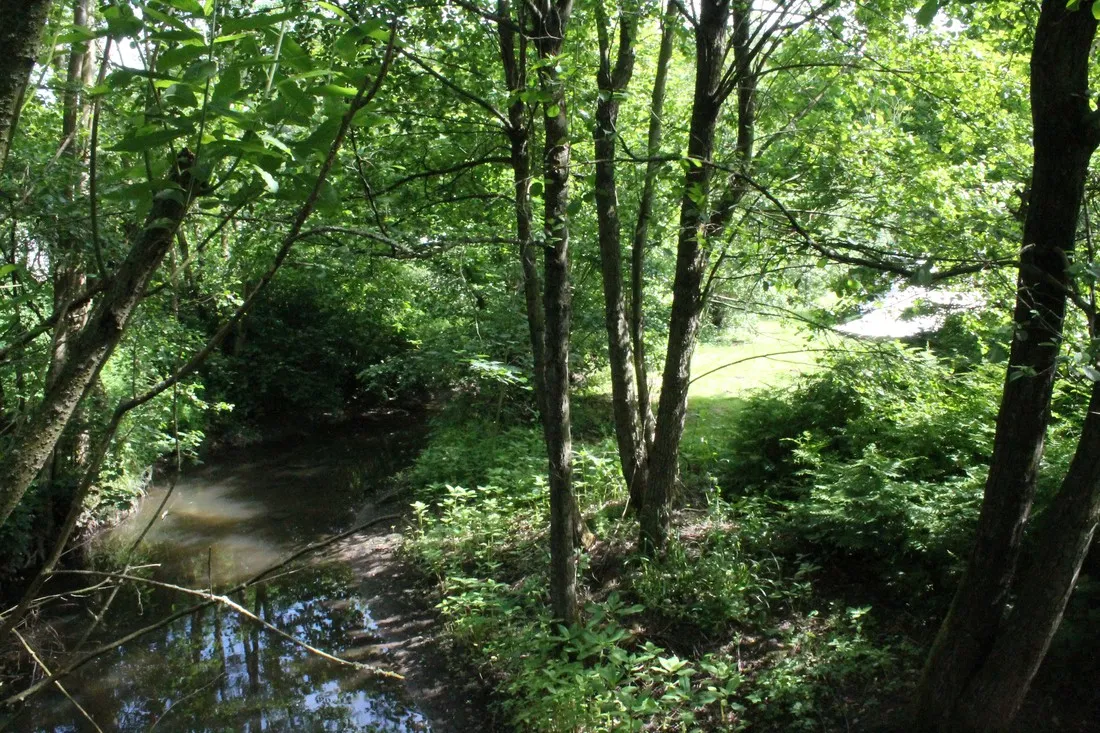 camping-zur-weissenthalsmhle-kirchberg-irmyz