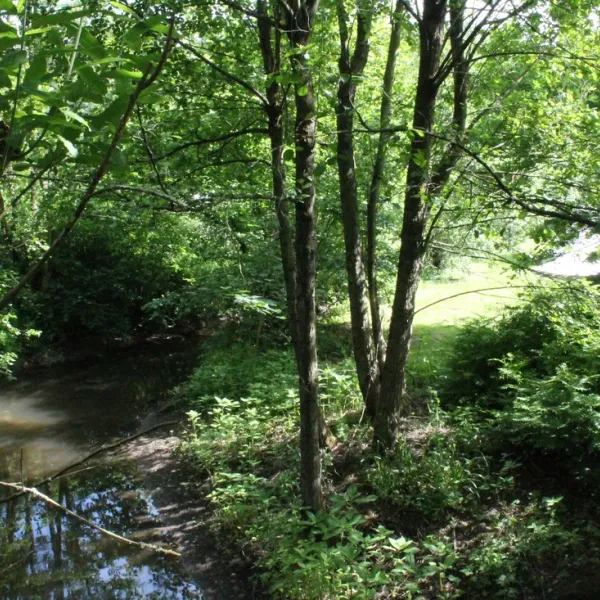 camping-zur-weissenthalsmhle-kirchberg-irmyz