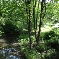 camping-zur-weissenthalsmhle-kirchberg-irmyz