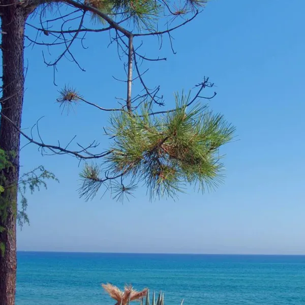 riva-bella-thalasso-spa-resort-alria-8v2ao