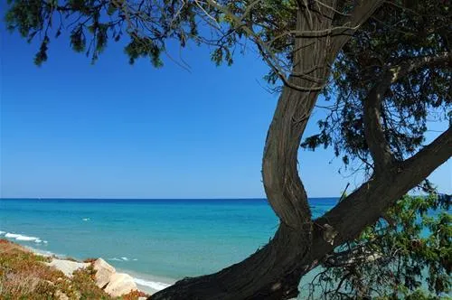riva-bella-thalasso-spa-resort-alria-fayxm