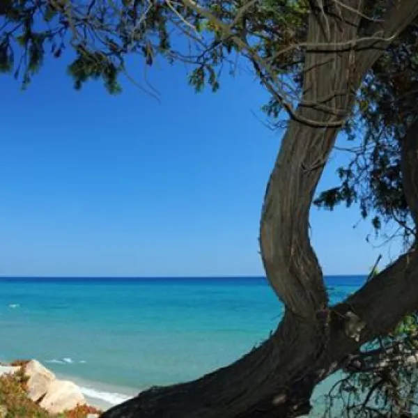 riva-bella-thalasso-spa-resort-alria-fayxm