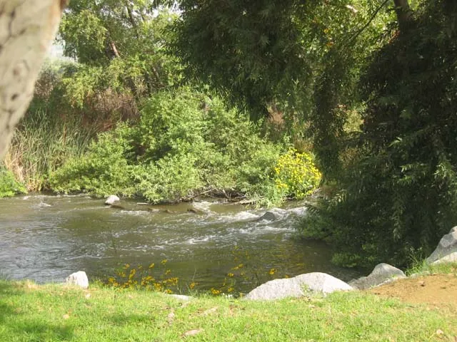 canyon-rv-park-anaheim-su9sa
