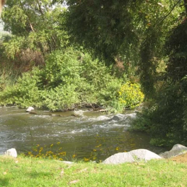 Canyon RV Park
