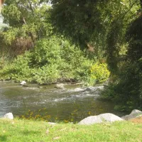 canyon-rv-park-anaheim-su9sa