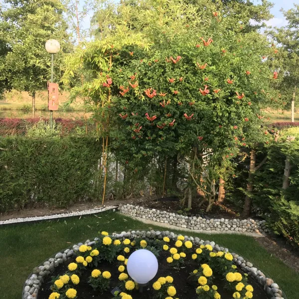 la-pierre-dorge-villers-sur-authie-doz3u