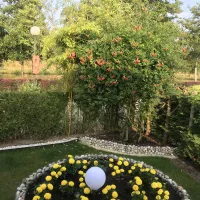 la-pierre-dorge-villers-sur-authie-doz3u