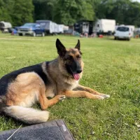 blackhawk-camping-resort-milton-kcblm
