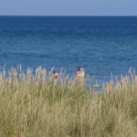 Rørvig XI