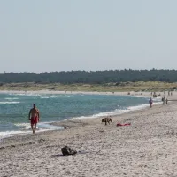 Rørvig I