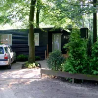 Stepelerven
