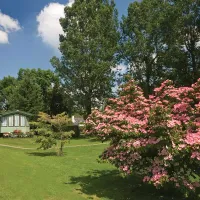twin-rivers-holiday-park-welshpool-9ogq5
