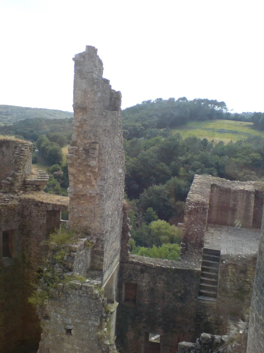 domaine-troteligotte-pomarede-jmy62