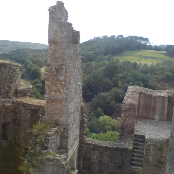 domaine-troteligotte-pomarede-jmy62