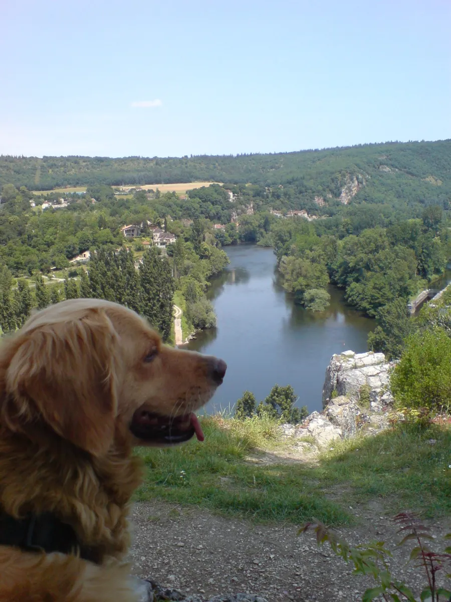 domaine-troteligotte-pomarede-zhudz