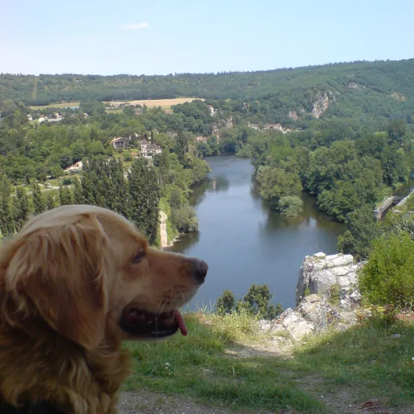 domaine-troteligotte-pomarede-zhudz