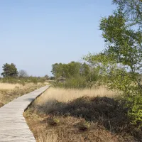 Diesdonk_14