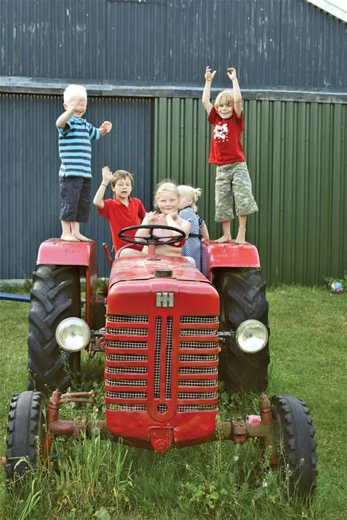 mini-camping-de-boltsebroek-escharen-og1yf