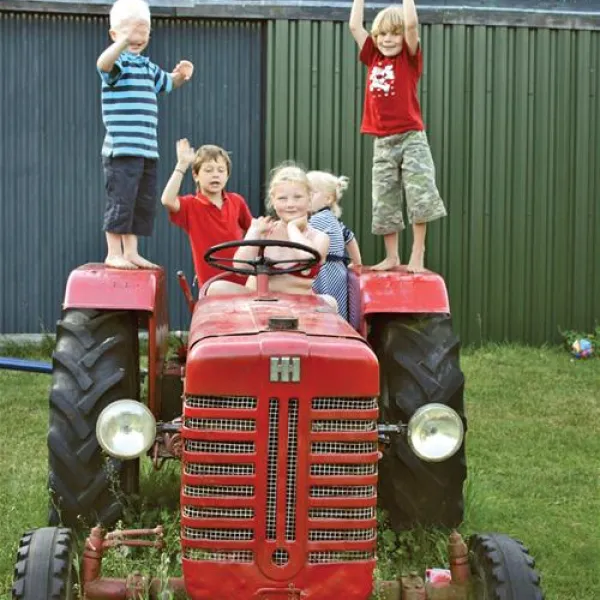 mini-camping-de-boltsebroek-escharen-og1yf