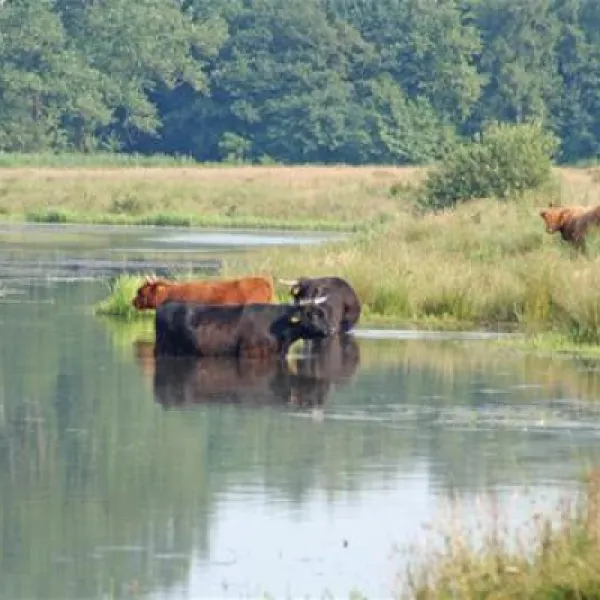 mini-camping-de-boltsebroek-escharen-wdycq