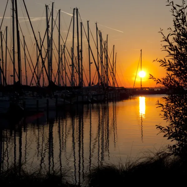 marina-muiderzand-almere-viasa