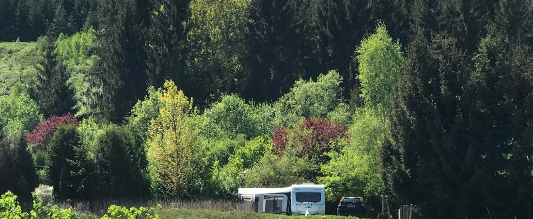 Thüringer Wald