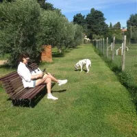 camping-village-le-capanne-bibbona-5i2be