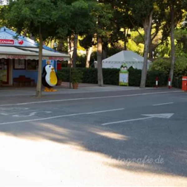 camping-village-le-capanne-bibbona-an73c