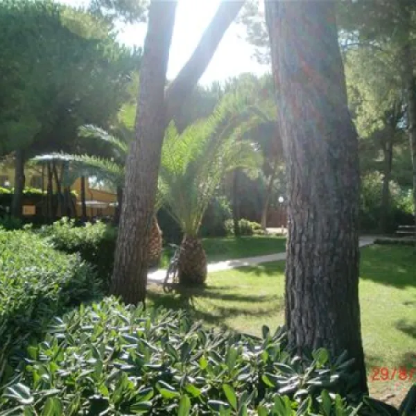 camping-village-le-capanne-bibbona-kojik