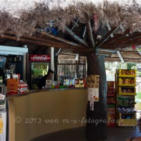 camping-village-le-capanne-bibbona-wsode