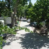 camping-reina-isabel-la-zubia-tmmnw