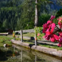 camping-malga-ciapela-rocca-pietore-v2dds